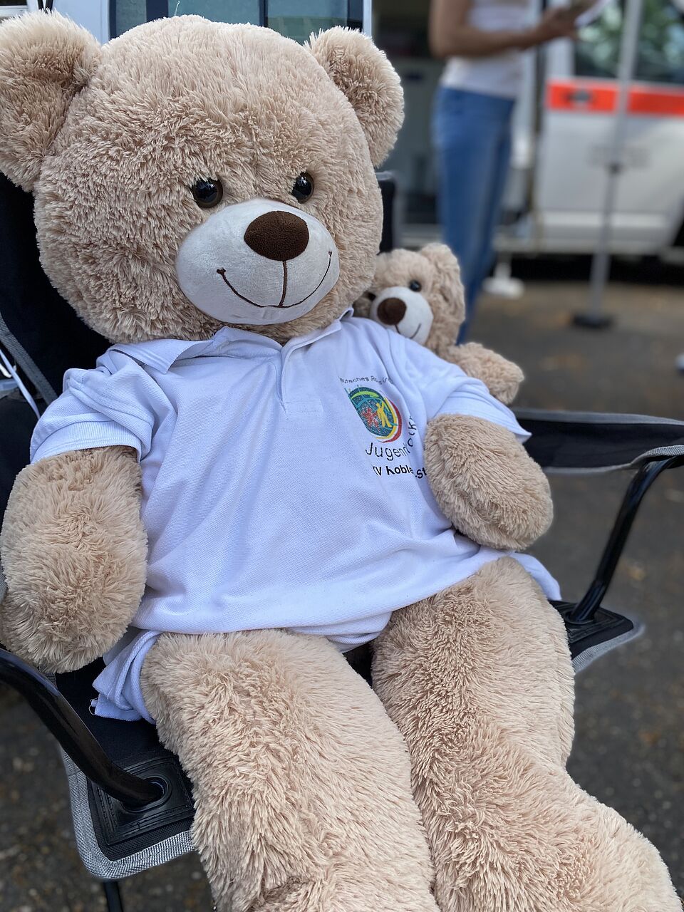 teddybär