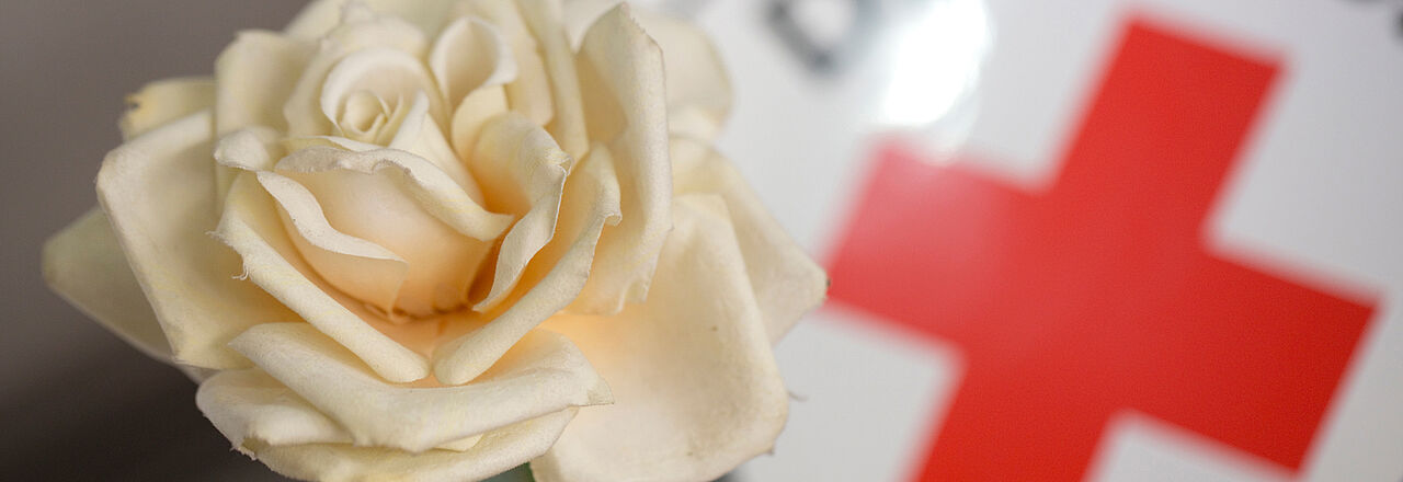 Rose vor Rotem Kreuz